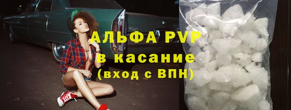 прущий лед Инсар