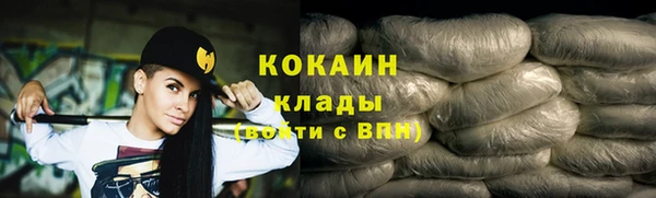 тгк Каменка