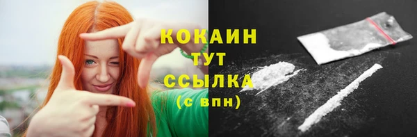 прущий лед Инсар