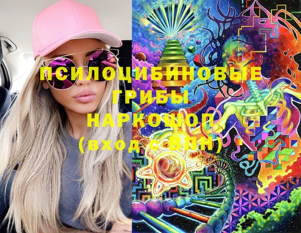 прущий лед Инсар