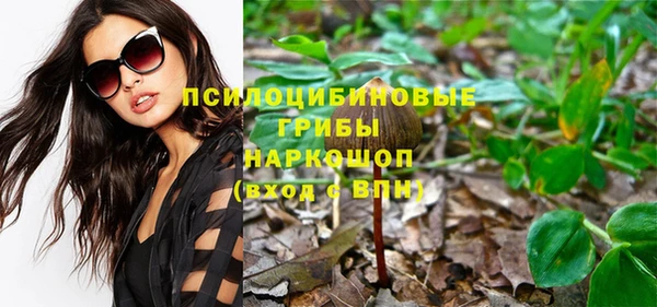 МДПВ Инта