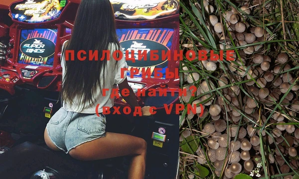 МДПВ Инта