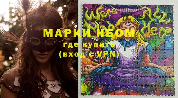 прущий лед Инсар