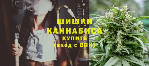прущий лед Инсар