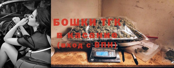 прущий лед Инсар