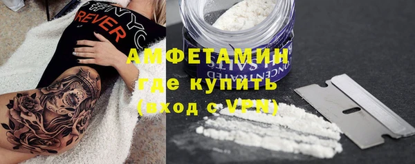 прущий лед Инсар