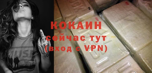 МДПВ Инта