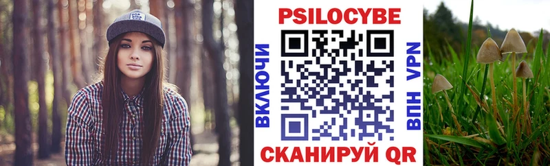 Псилоцибиновые грибы MAGIC MUSHROOMS  Купить  Жуковка 